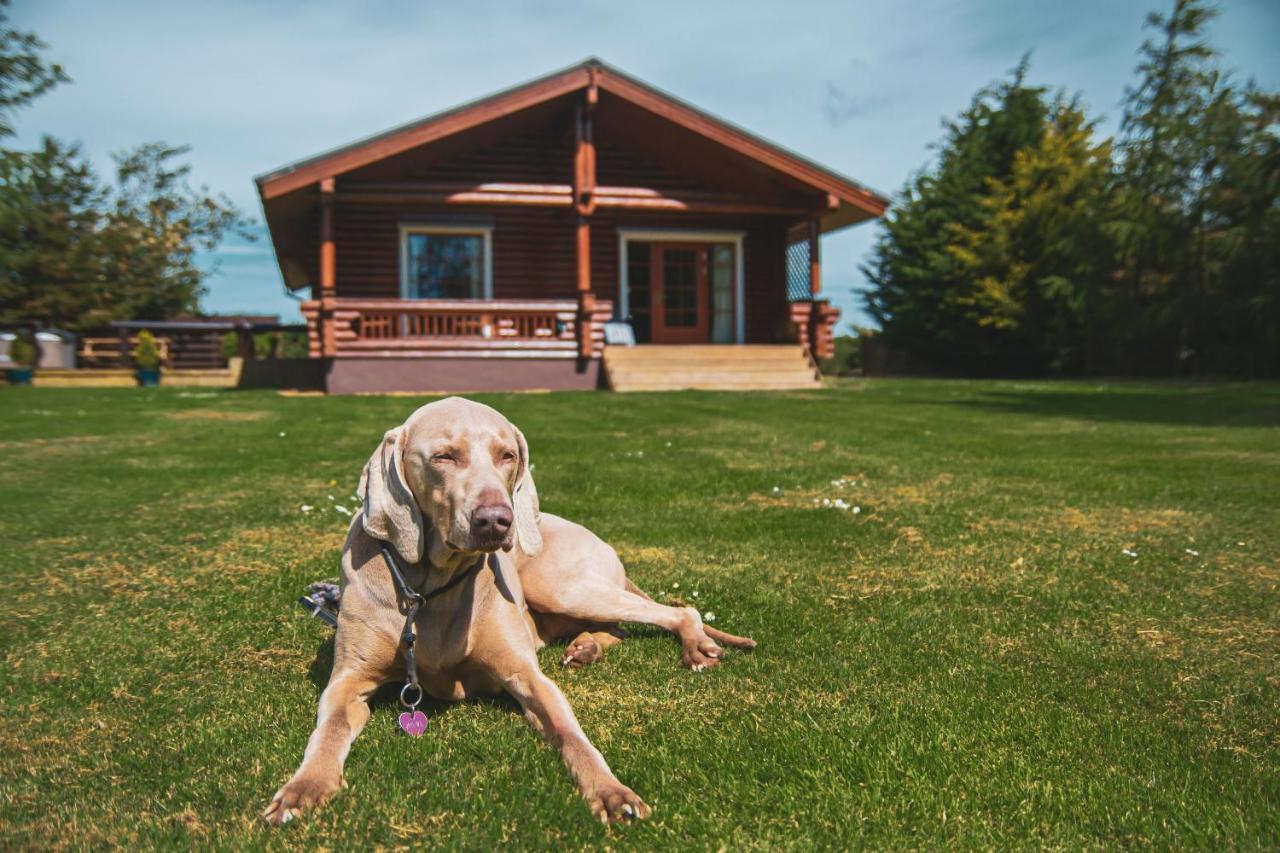 Tomatin - Luxury Two Bedroom Log Cabin With Hot Tub Berwick Upon Tweed Eksteriør billede